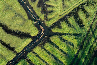 Drone photo of the rivers and wetlands at Manor House Farm 
