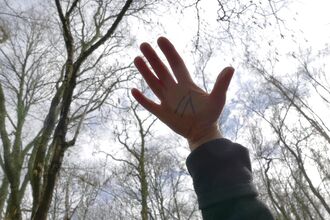 Hand raised up towards bare tree branches and sky