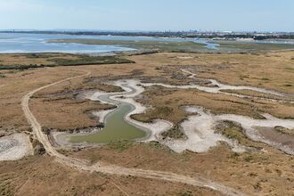 a drone shot showing a dry landscape impacted by drought. in the background is the cityscape of Portsmouth 
