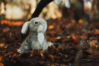 A stuffed toy rabbit sitting in autumn leaves
