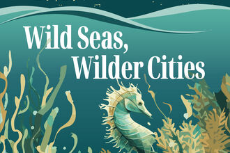Front cover of Wild Seas, Wilder Cities book