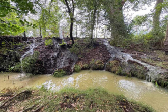 discharged water entering the Beaulieu River 