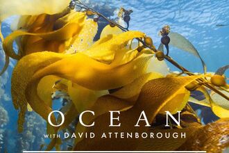 Poster highlighting a film screening of Ocean with David Attenborough