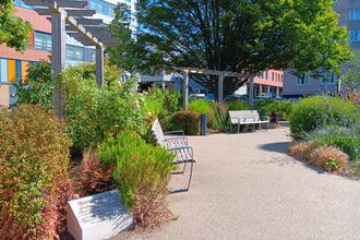 A green space at Queen Alexandra Hospital 