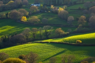 Farmed landscape