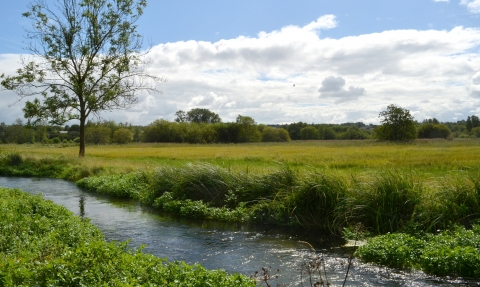 Winnall Moors Nature Reserve © Deryn Hawkins