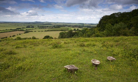 Broughton Down Nature Reserve © Mike Read