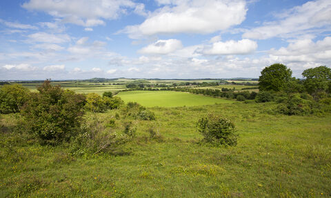Broughton Down Nature Reserve © Mike Read