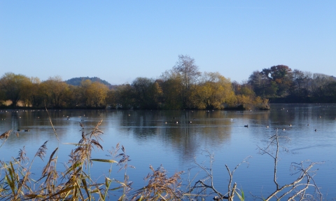 Blashford Lakes nature reserve