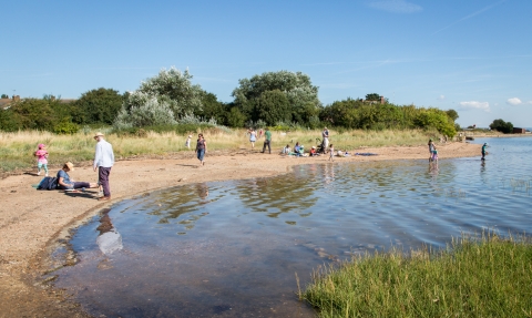 Art Open Day at Milton Locks nature reserve