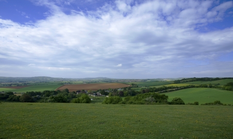 Arreton Down