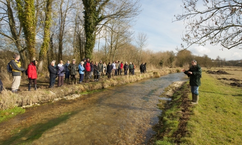 Guided walk on the River Itchen