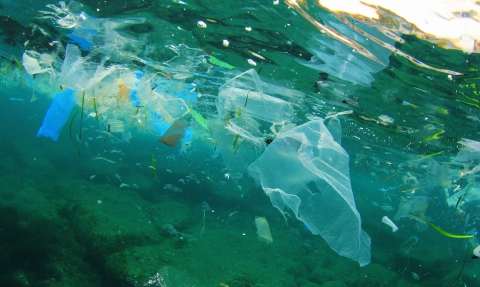 Plastic litter in our oceans