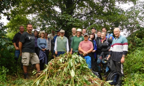 Volunteer work party pulling Himalayan balsam