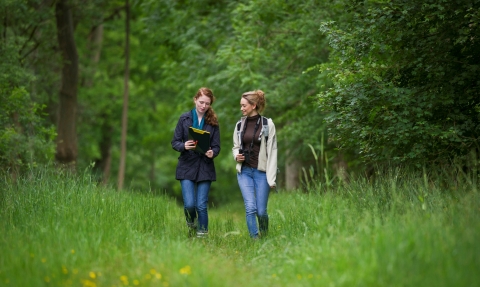 Wildlife walk