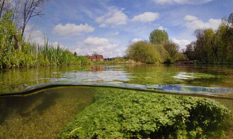 River Itchen at Itchen Stoke Mill
