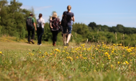 Visitors to Martins Wood nature reserve