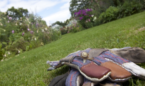 Wildlife gardening © Tom Marshall