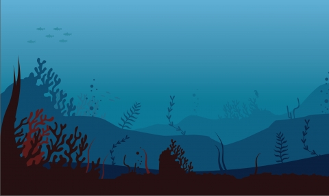 wilder landscape - underwater1