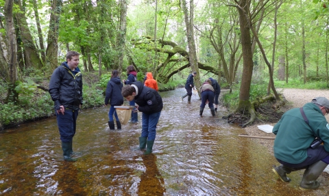 Young Naturalists River Dipping at Blashford