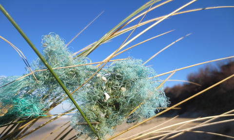 Ghost fishing gear © Trudi Lloyd Williams