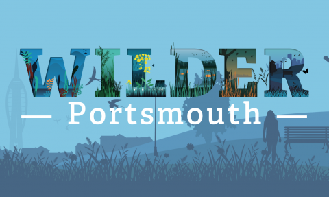 Wilder Portsmouth graphic