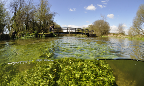 River Itchen © Linda Pitkin/2020VISION