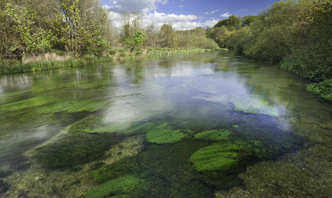 River Itchen © Guy Edwardes/2020VISION