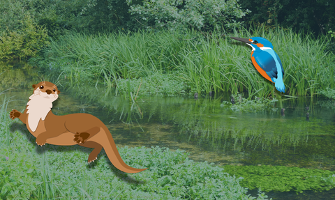 A photo of a chalk stream with cartoon otter and a kingfisher in the foreground