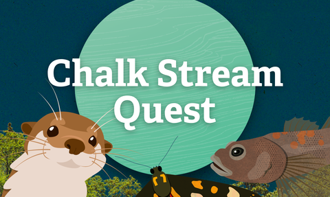 Chalk Stream Quest illistration