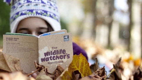 Wildlife Watch © Tom Marshall