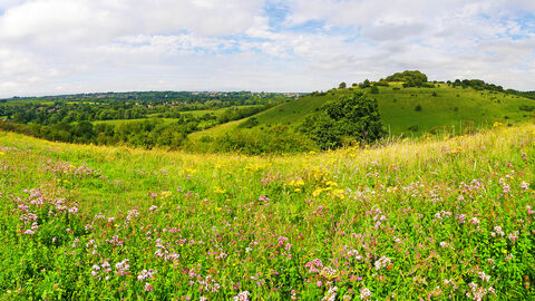 St Catherine's Hill nature reserve © Ed Merritt