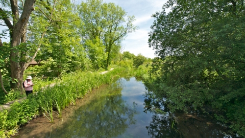 Walking the Itchen at Winnall Moors by Steve Page