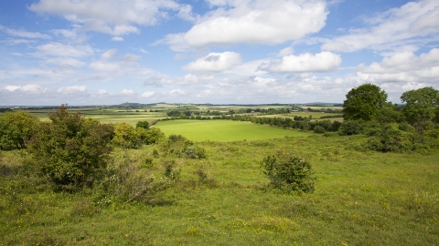 Broughton Down Nature Reserve © Mike Read