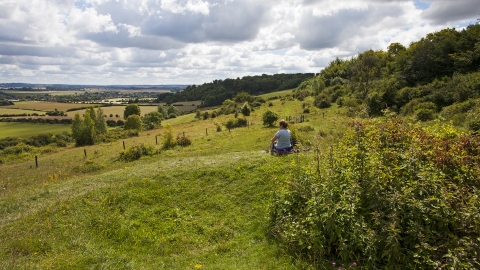 Broughton Down Nature Reserve © Mike Read