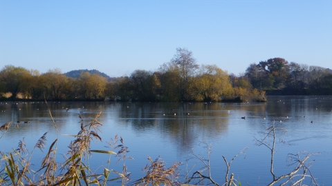 Blashford Lakes nature reserve