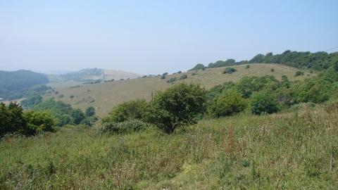 Knighton Down