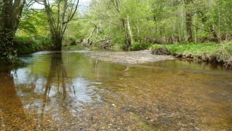 Roydon Woods, Stile Pool