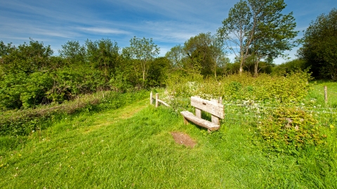 Noar Hill in summer