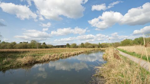 Barton Carrier at Winnall Moors