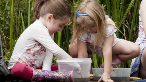 Children pond dipping © Ross Hoddinott/2020VISION