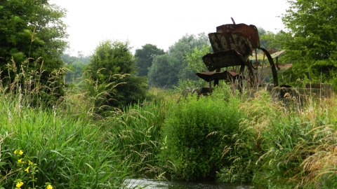St Clair's Meadow