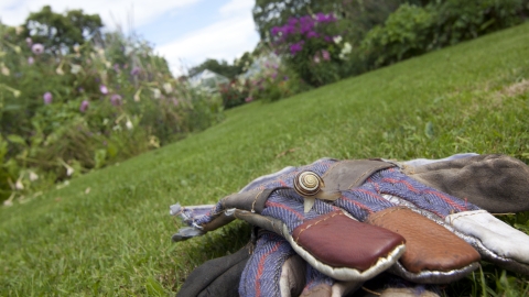 Wildlife gardening © Tom Marshall