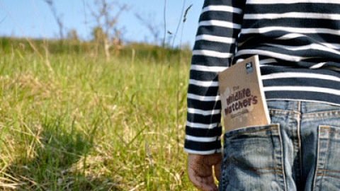 Boy in Meadow - Wildlife Watch