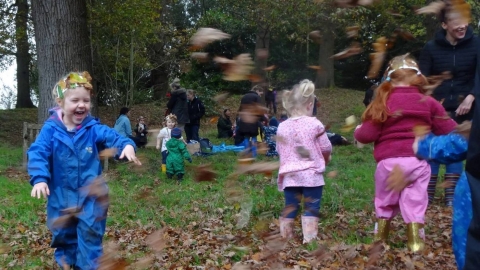 IW Tree Tots