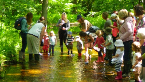 Blashford Wildlife Tots River Dipping