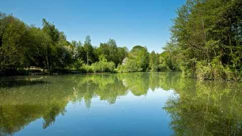 Swanwick Lakes nature reserve in summer by Ian Cameron-Reid