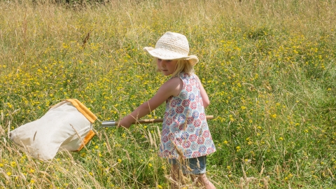Blashford Lakes meadow sweeping