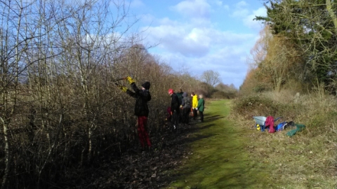 Young Naturalists cutting back hedge