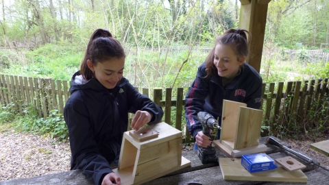 Young Naturalists woodwork © T Standish
